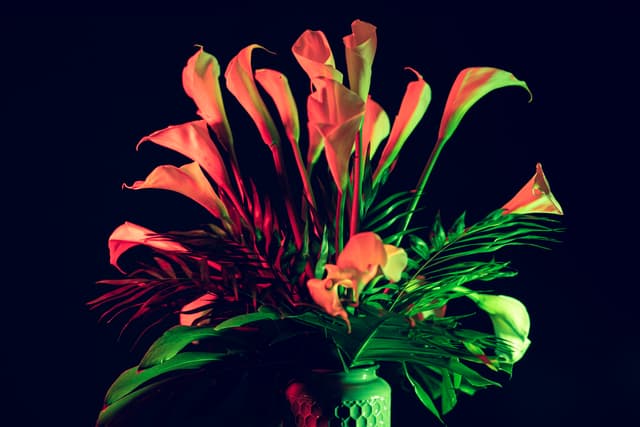 Vivid Flowers 011