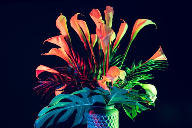 Vivid Flowers 012