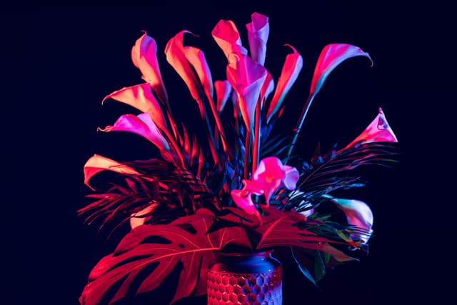 Vivid Flowers 013