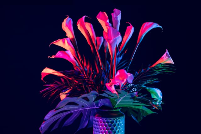 Vivid Flowers 014