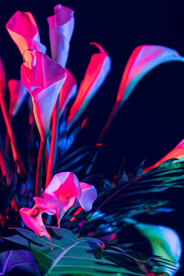 Vivid Flowers 015