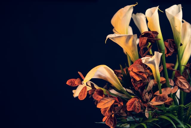 Vivid Flowers 026