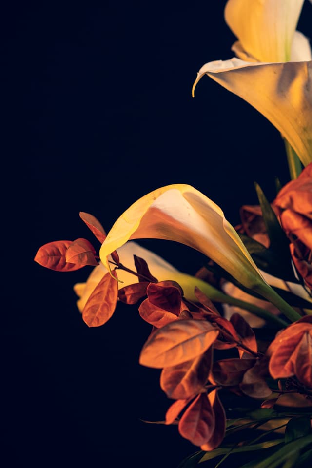 Vivid Flowers 027