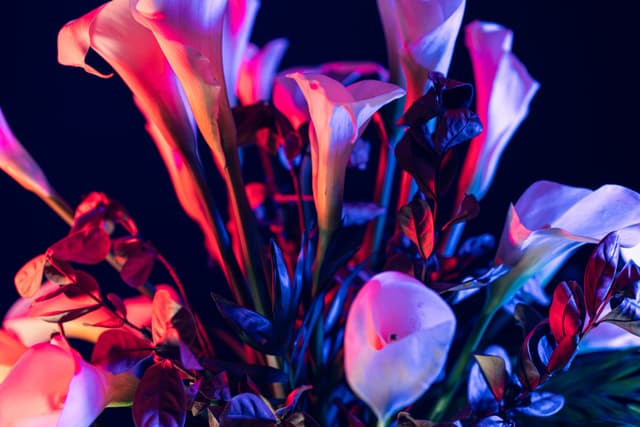 Vivid Flowers 030