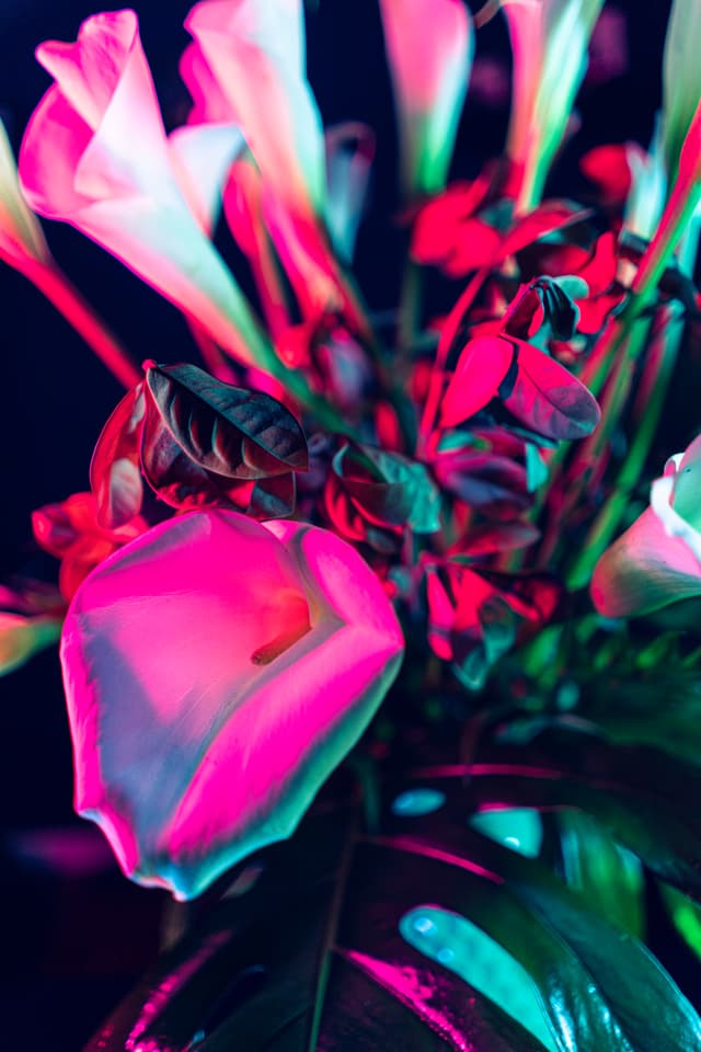 Vivid Flowers 047