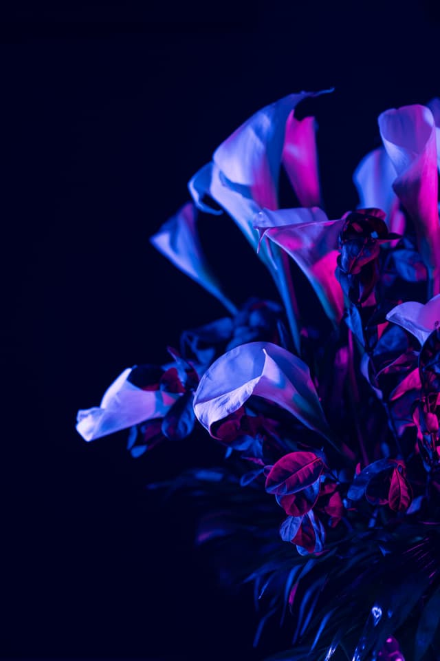 Vivid Flowers 061