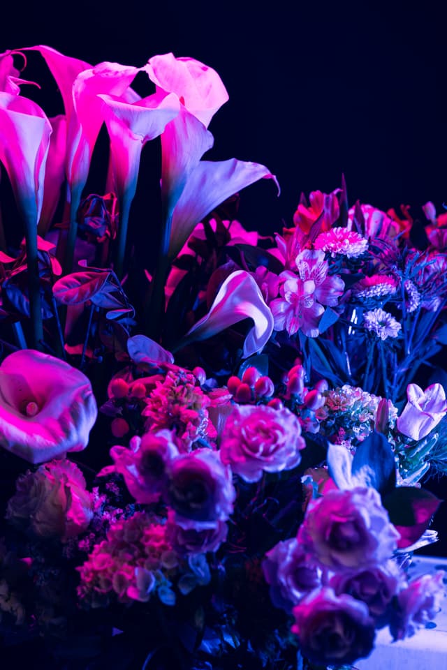 Vivid Flowers 078