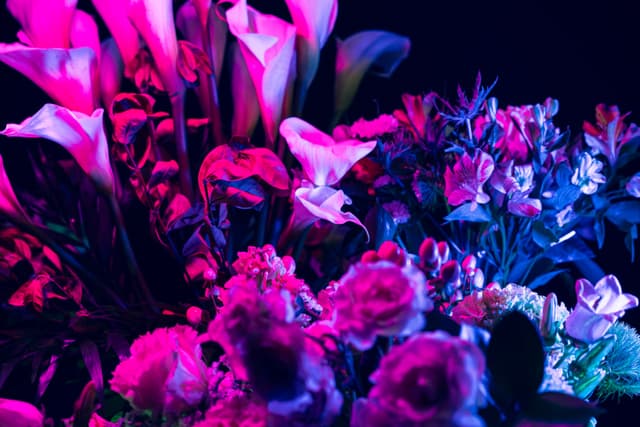 Vivid Flowers 079