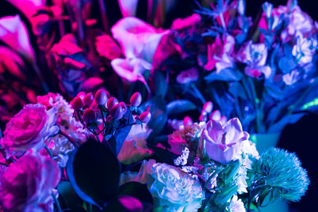 Vivid Flowers 080