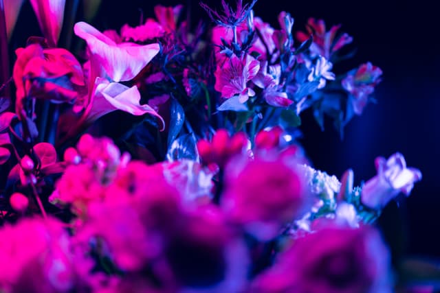 Vivid Flowers 083