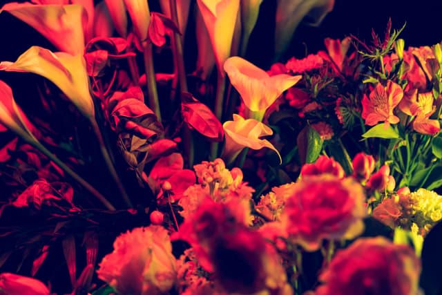 Vivid Flowers 088