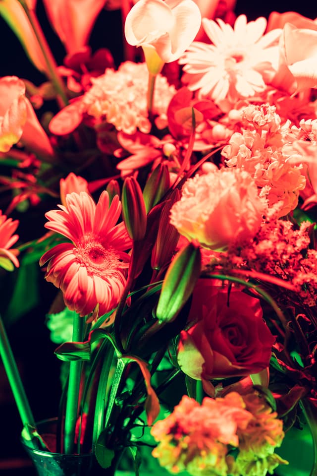 Vivid Flowers 105