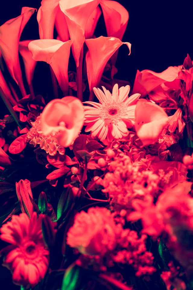 Vivid Flowers 106