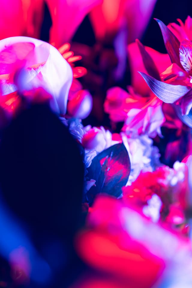 Vivid Flowers 107