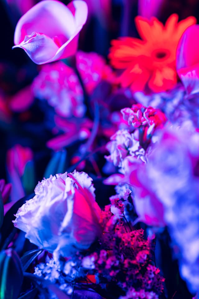 Vivid Flowers 109