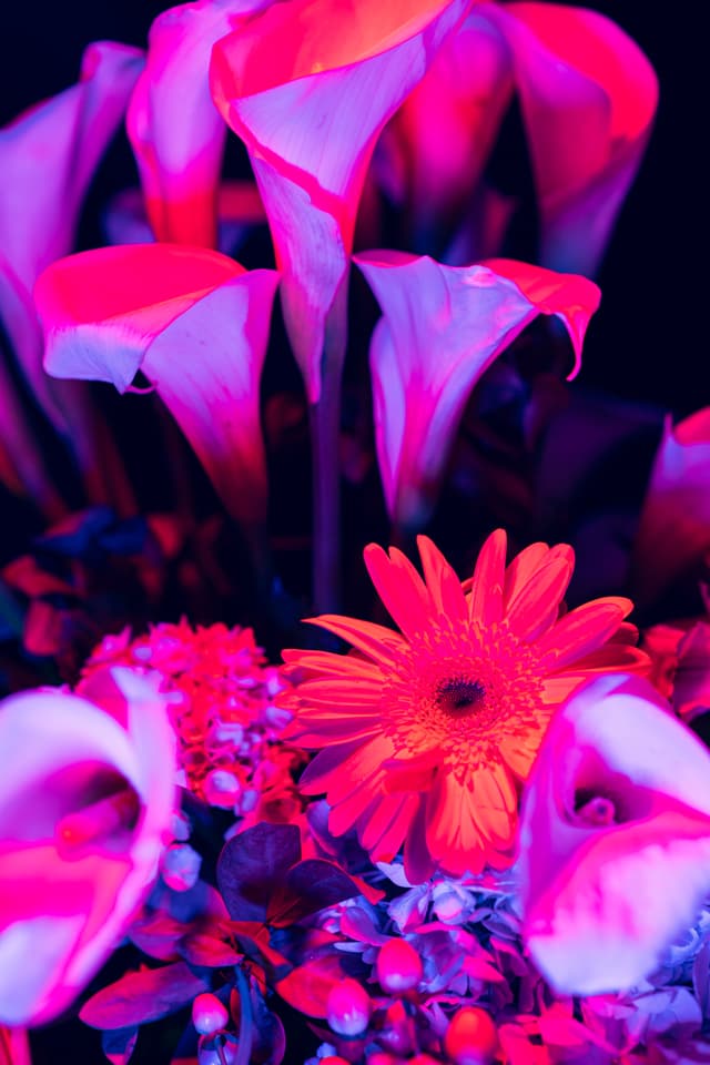 Vivid Flowers 110