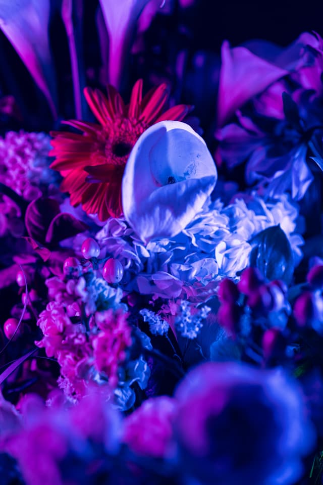 Vivid Flowers 111