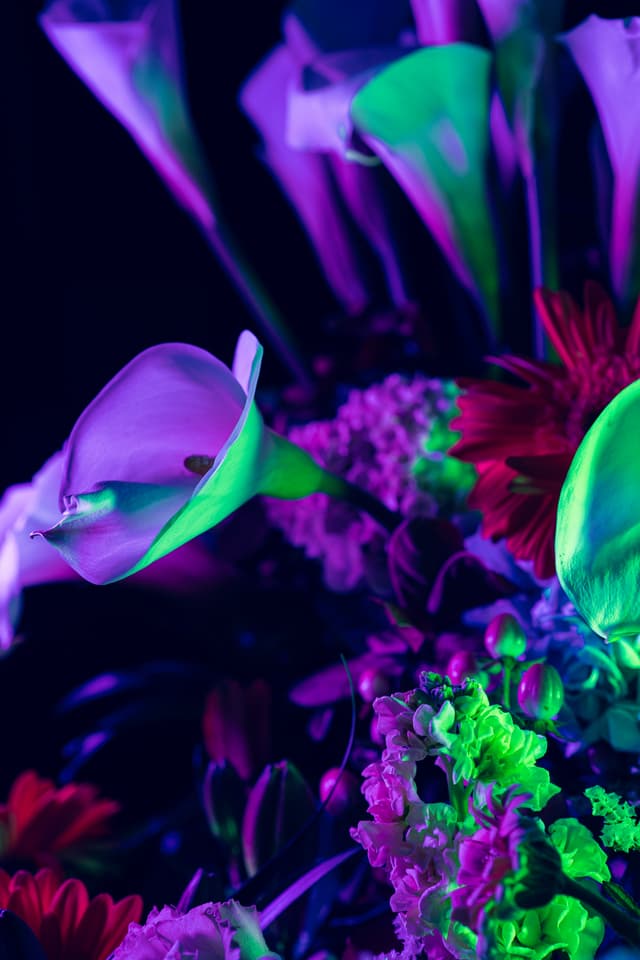 Vivid Flowers 112