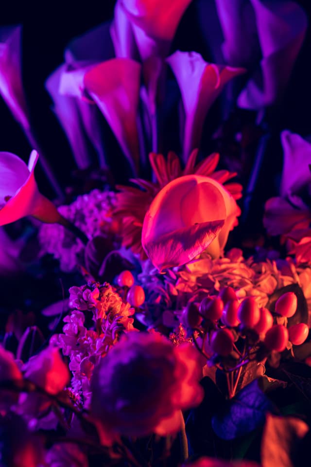 Vivid Flowers 113