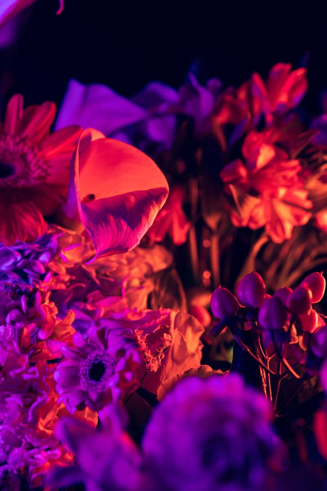 Vivid Flowers 114