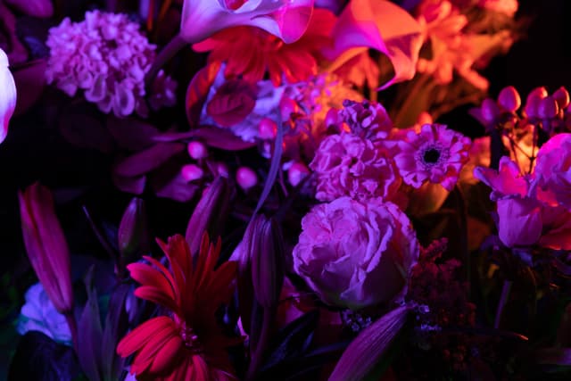 Vivid Flowers 116