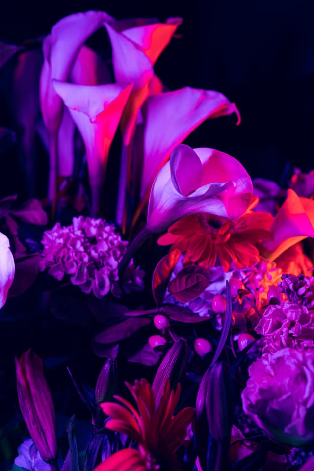 Vivid Flowers 117