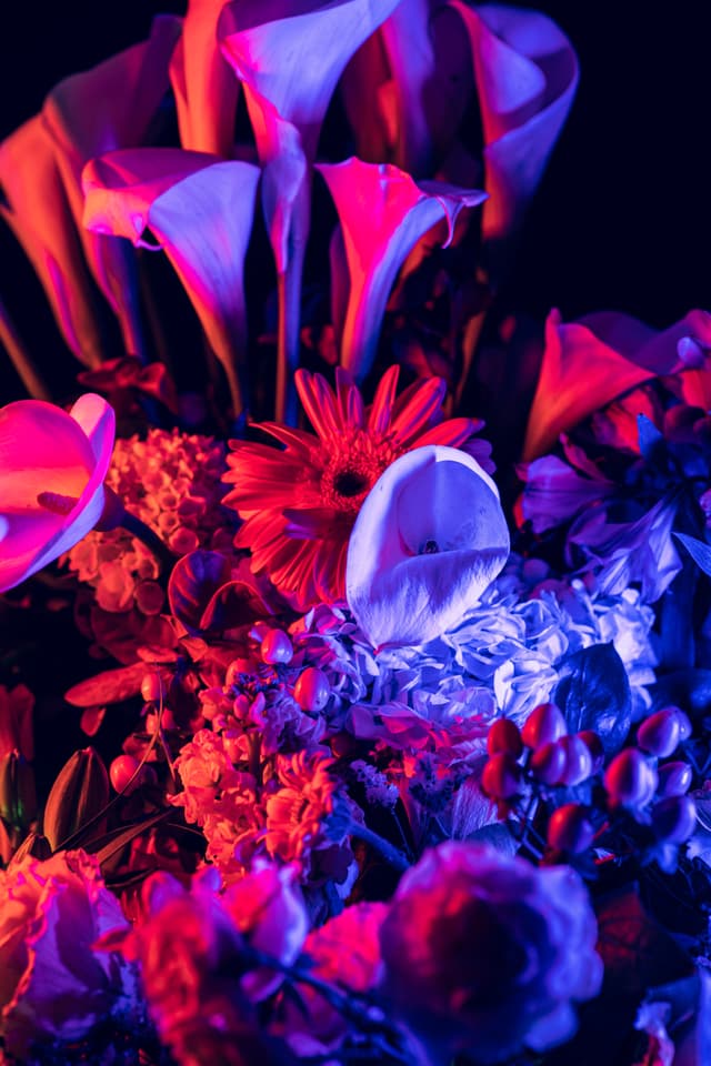 Vivid Flowers 118