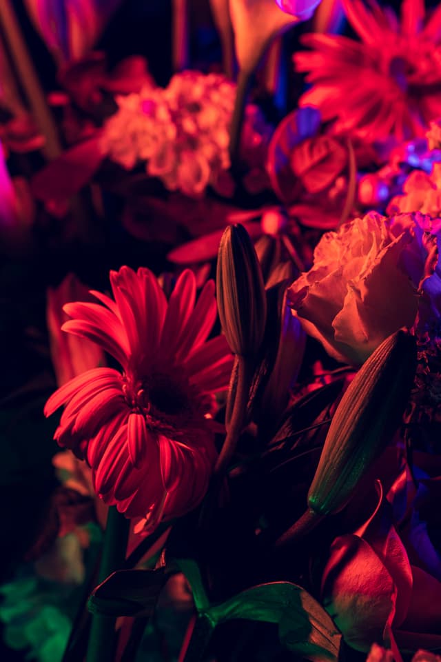 Vivid Flowers 119