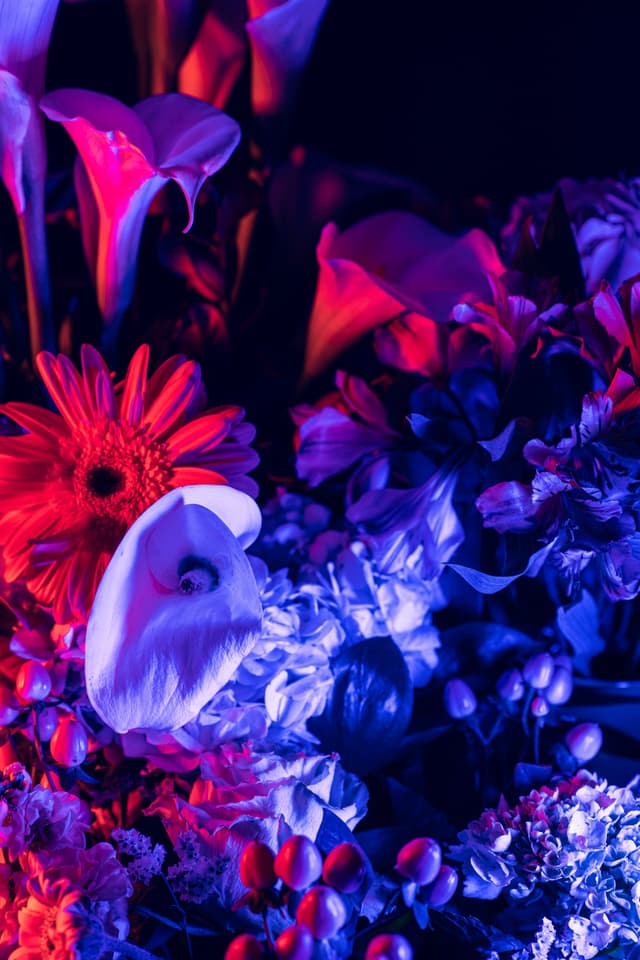 Vivid Flowers 120