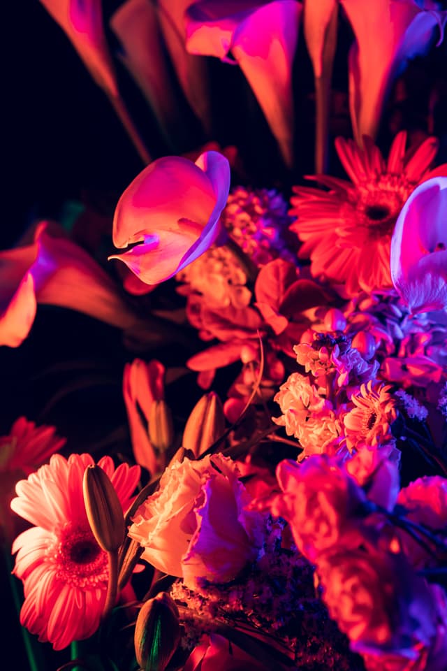 Vivid Flowers 121