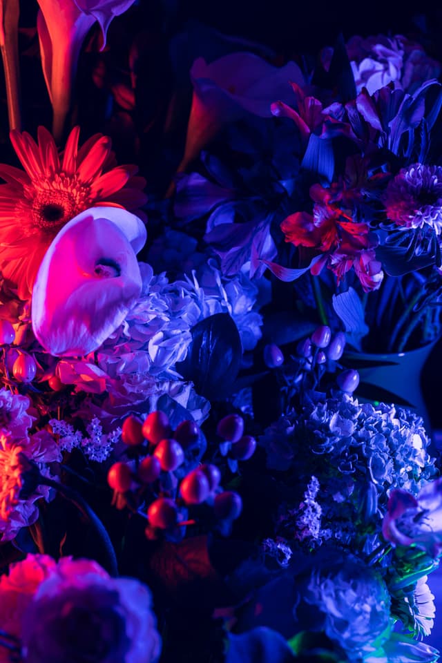 Vivid Flowers 122