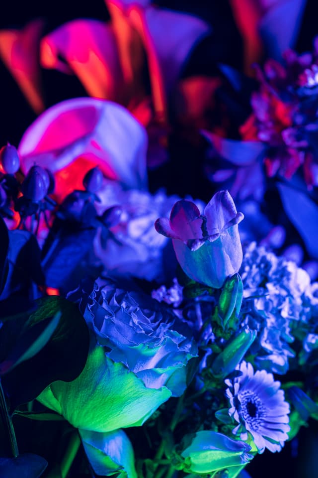 Vivid Flowers 123
