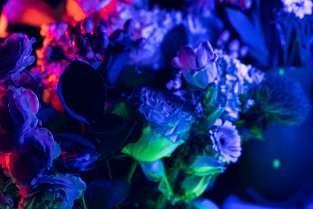 Vivid Flowers 124