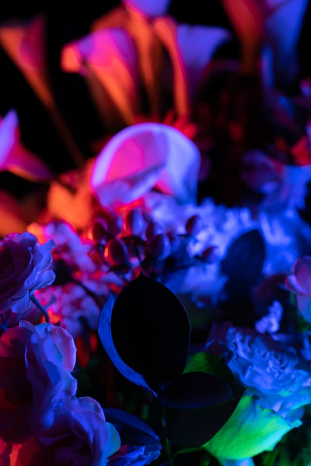 Vivid Flowers 125