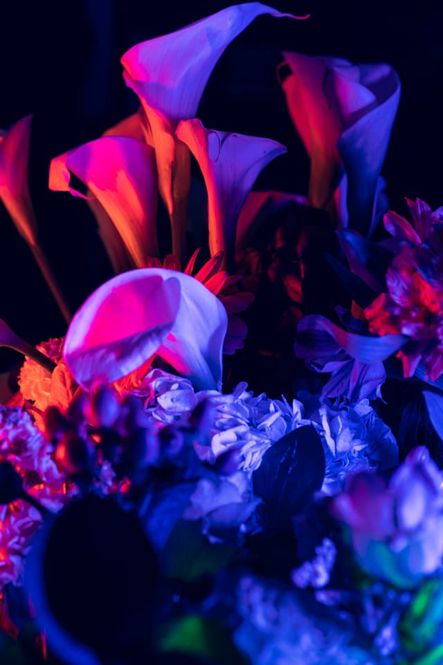 Vivid Flowers 126