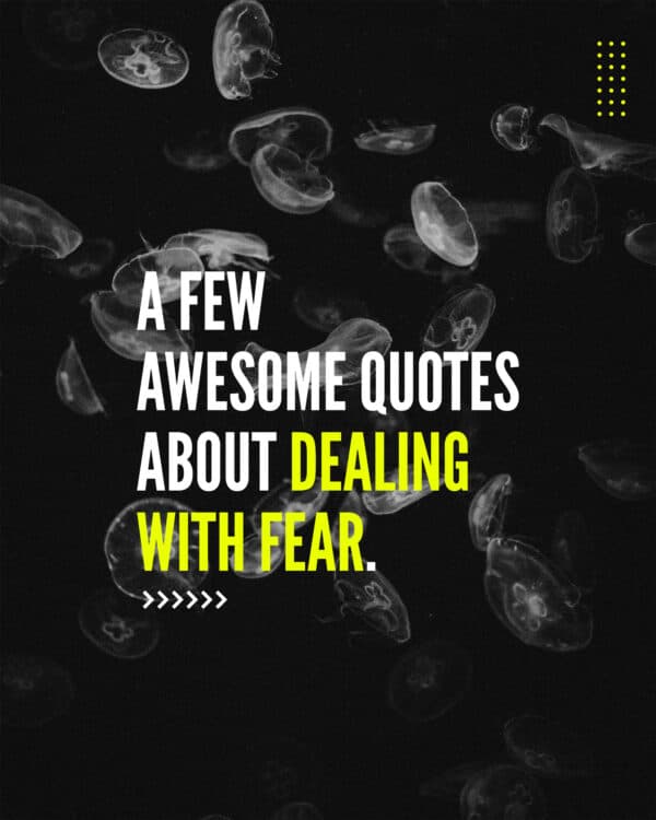 A few awesome quotes about dealing with fear.