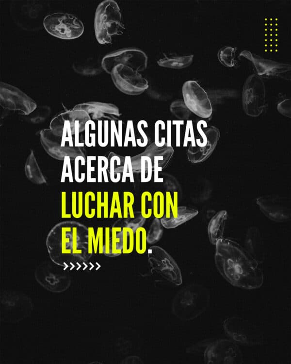 Algunas citas acerca de luchar con el miedo.