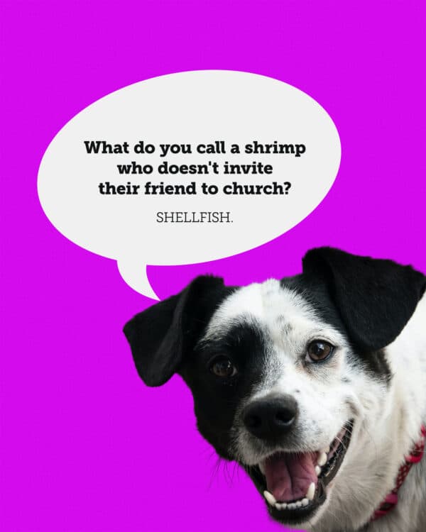 What do you call a shrimp who doesn't invite their friend to church? Shellfish.