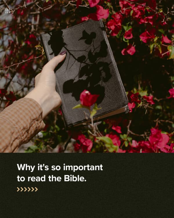 Why it's so important to read the Bible.