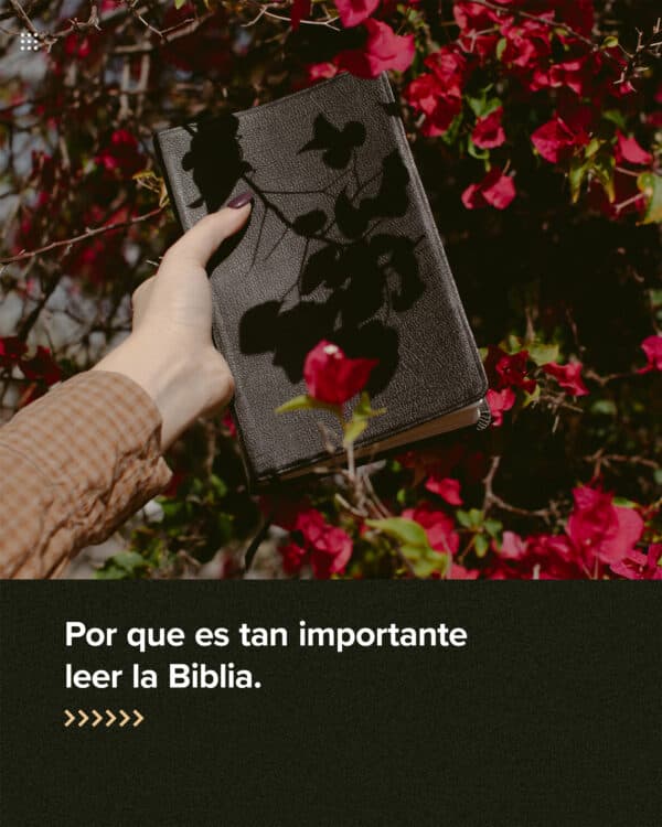 Por que es tan importante leer la Biblia.