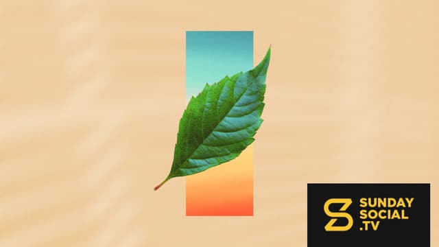 Transition | Slides, See You (blank)