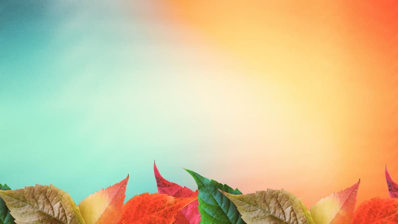 Main Graphics