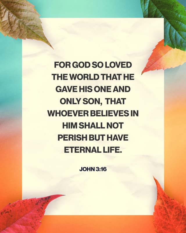 Scripture Posts