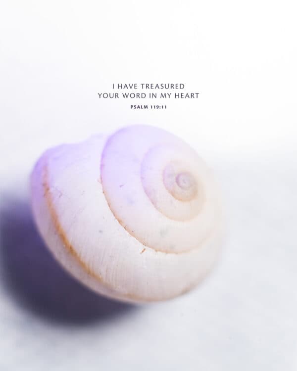 I have treasured Your word in my heart. - Psalm 119:11