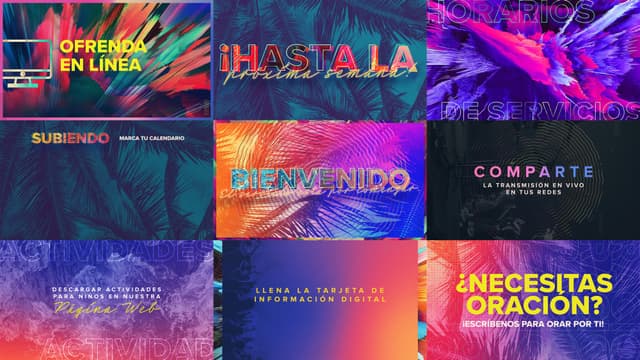 Summer Feels | Diapositivas