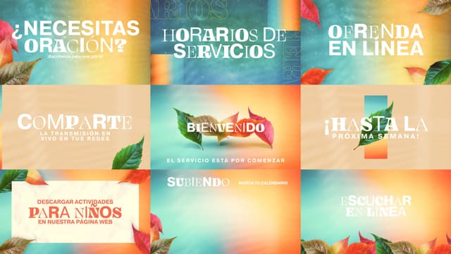 Transition | Diapositivas