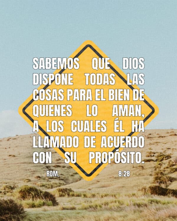 Sabemos que Dios dispone todas las cosas para el bien de quienes lo aman, a los cuales él ha llamado de acuerdo con su propósito. Romanos 8:28