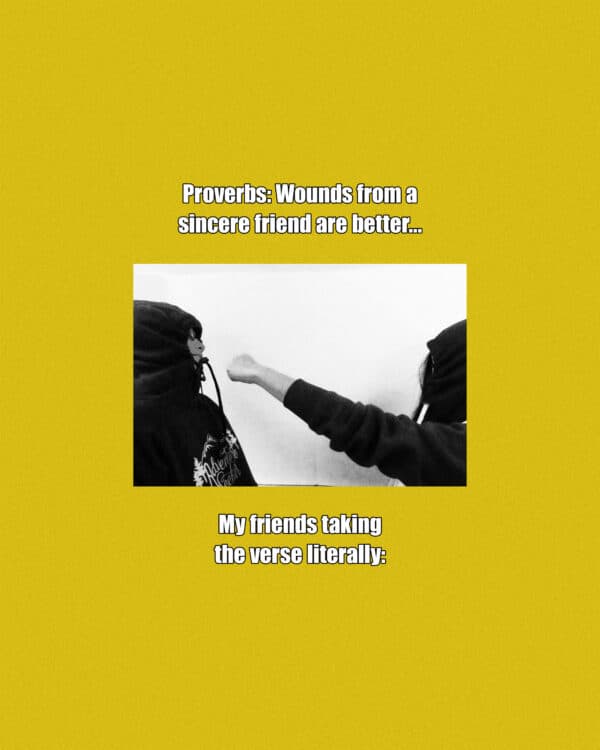Proverbs: Wounds from a sincere friend are better... My friends taking the verse literally: