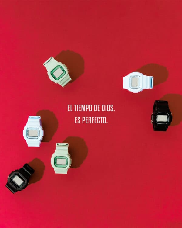 El tiempo de Dios. Es perfecto.