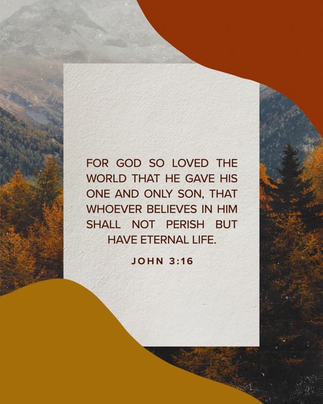 Scripture Posts
